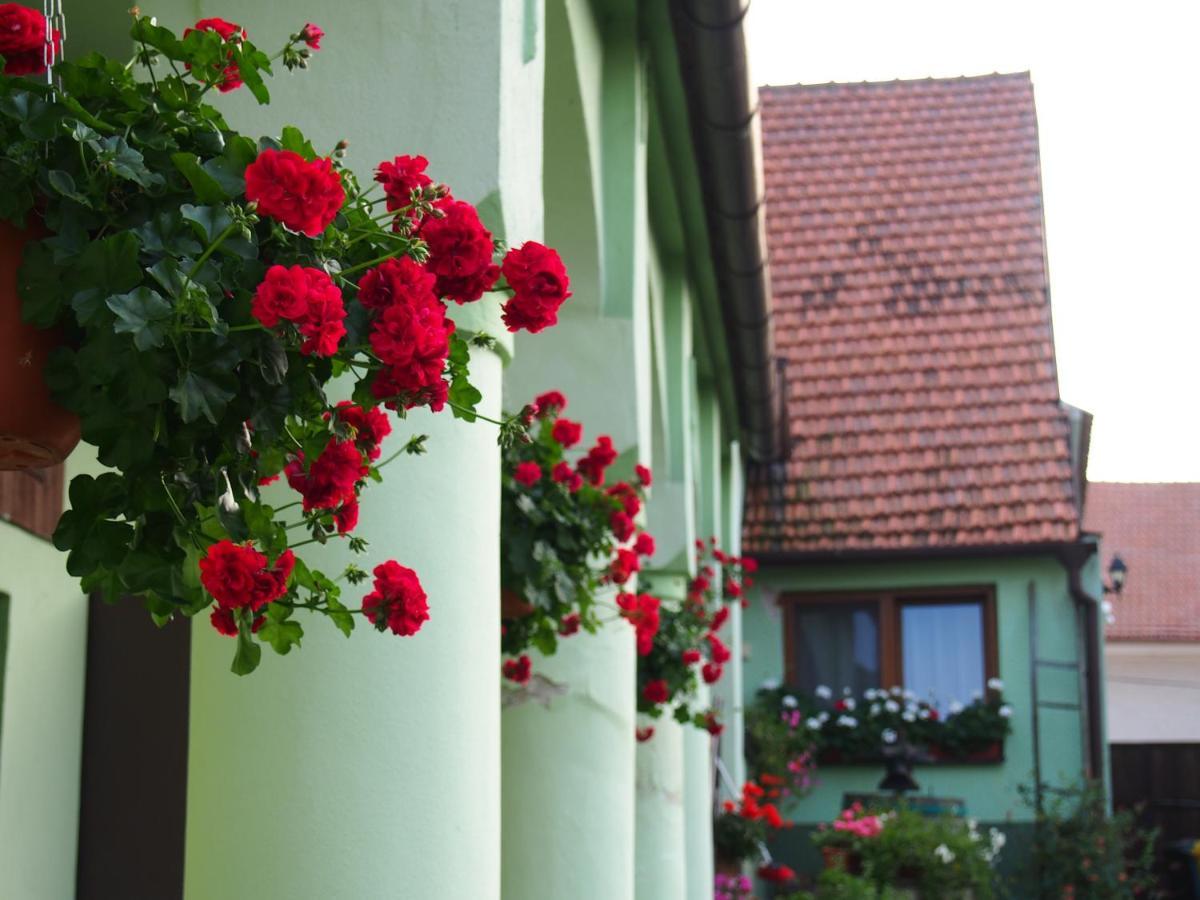 Hotel Na Upati Palavy Horni Vestonice Zewnętrze zdjęcie