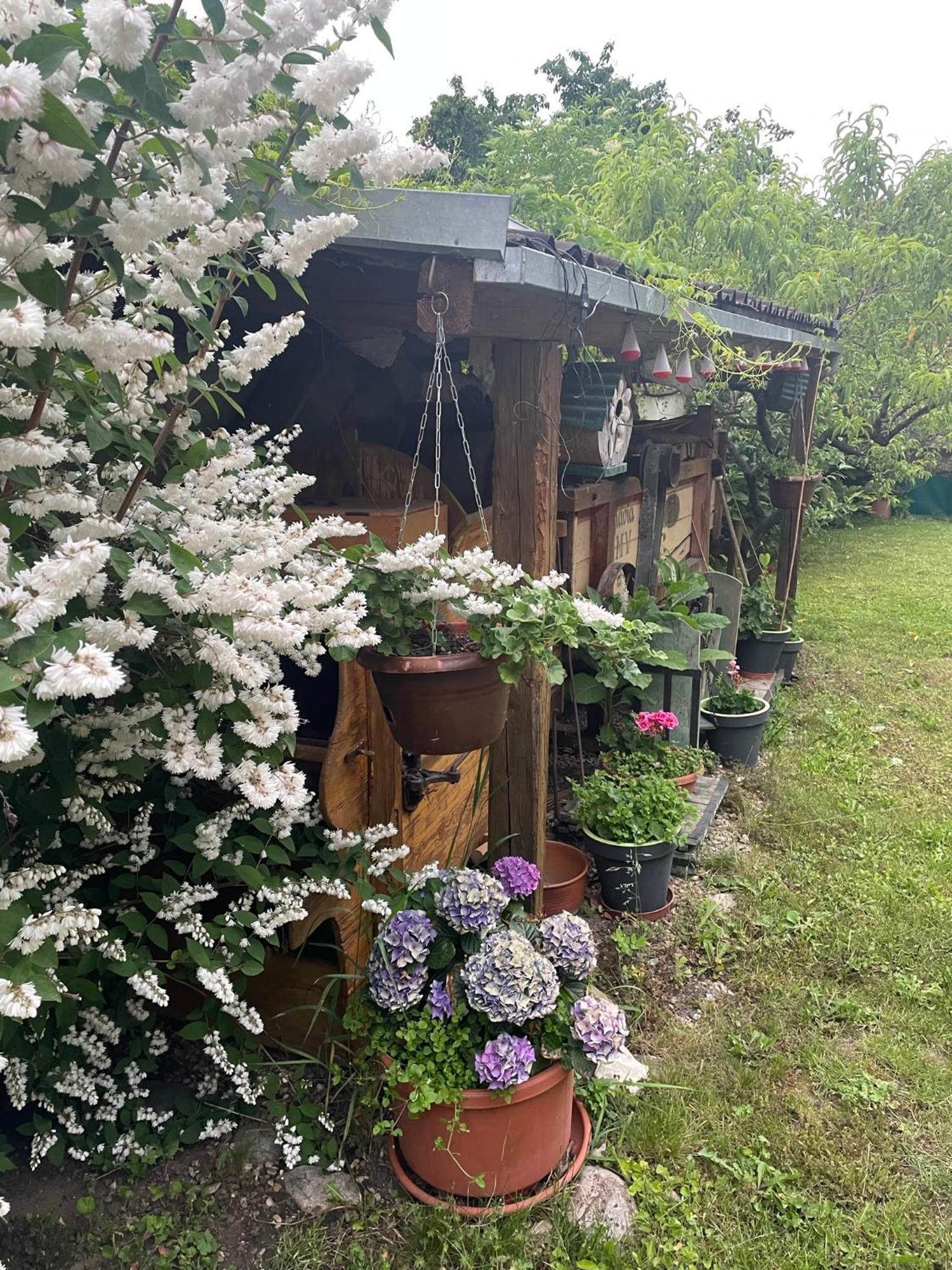 Hotel Na Upati Palavy Horni Vestonice Zewnętrze zdjęcie